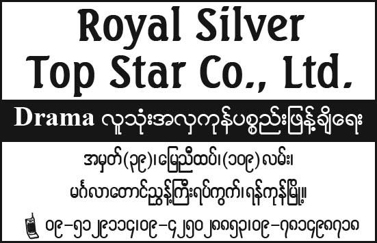 Royal Silver Top Star Co., Ltd.